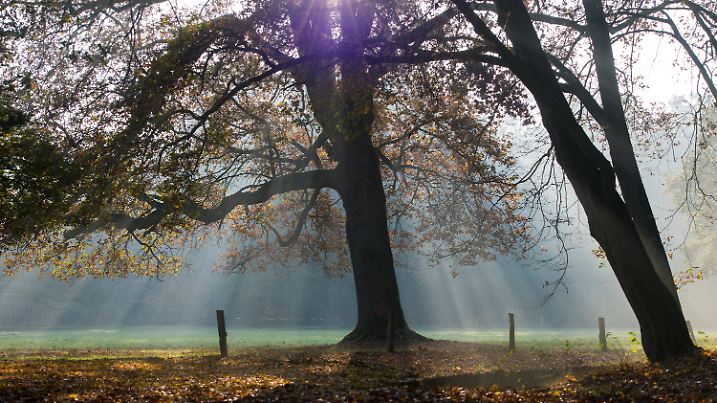 Herbstspaziergang