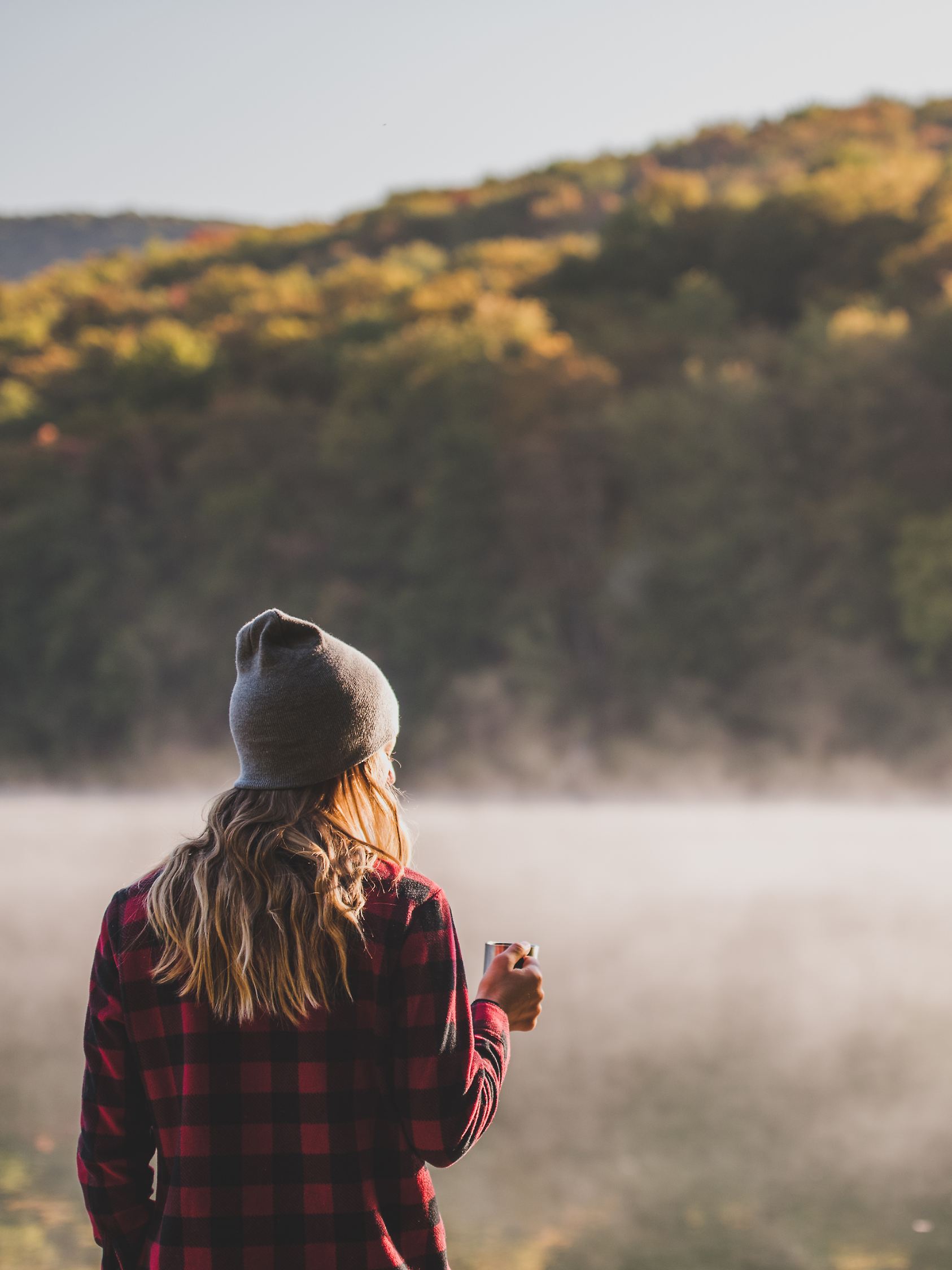 Bodenfrost, Nebel und Sonnenschein am Novembersonntag.