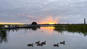 Ruhiges November-Wetter mit sonnigen Highlights