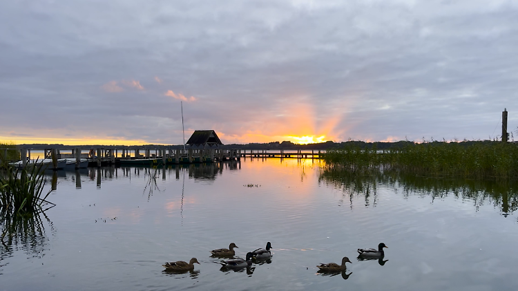 Ruhiges November-Wetter mit sonnigen Highlights