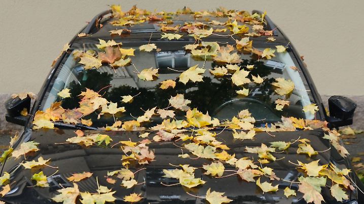 Autofahren im Herbst? Manchmal richtig nervig!