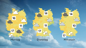 Auf der Suche nach Sonnenschein und goldenem Oktober