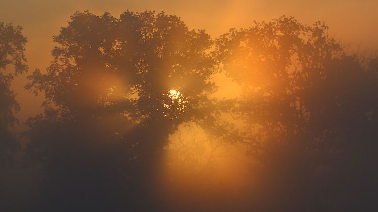 Morgens in Brandenburg