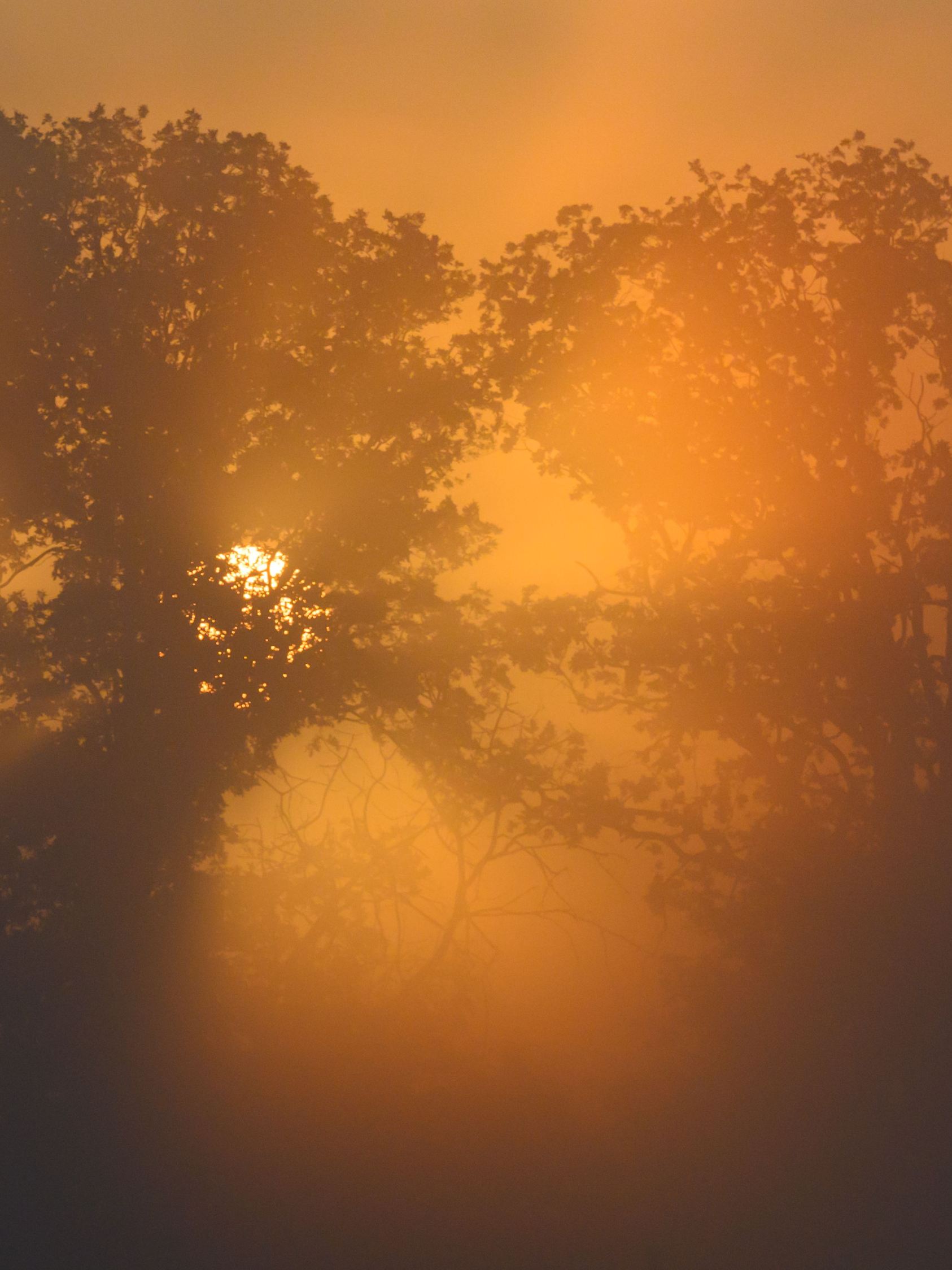 Morgens in Brandenburg