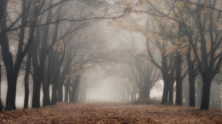 Kaltes trübes Novemberwetter