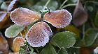 Frost in den Nächten am Wochenende
