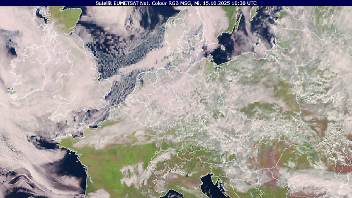 Sowohl an der Ostsee als auch an den Alpen gibt es sonnige Ecken. (Satellitenbild von 12:30 Uhr)