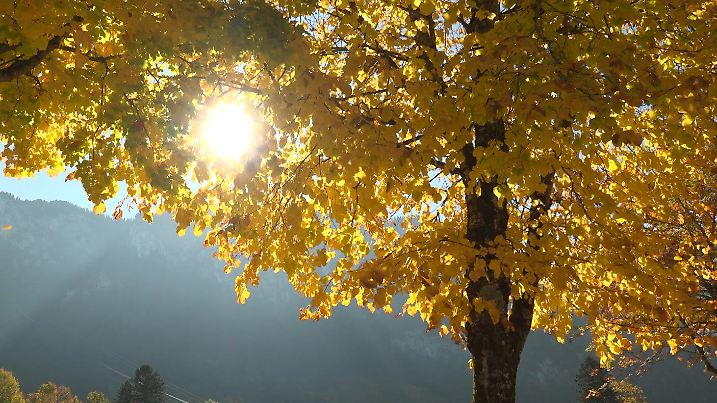 Sonne am Tag, Frost in der Nacht