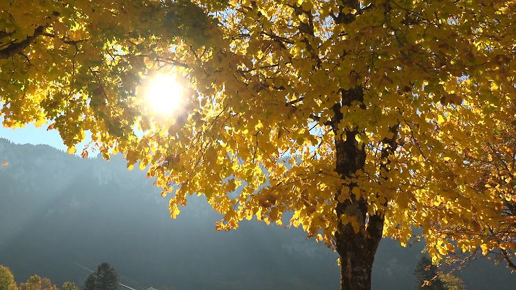Sonne am Tag, Frost in der Nacht