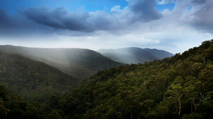 ak vb k+ Regenwald Australien