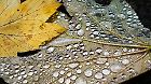 Herbstwetter