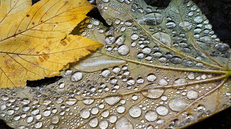 Herbstwetter