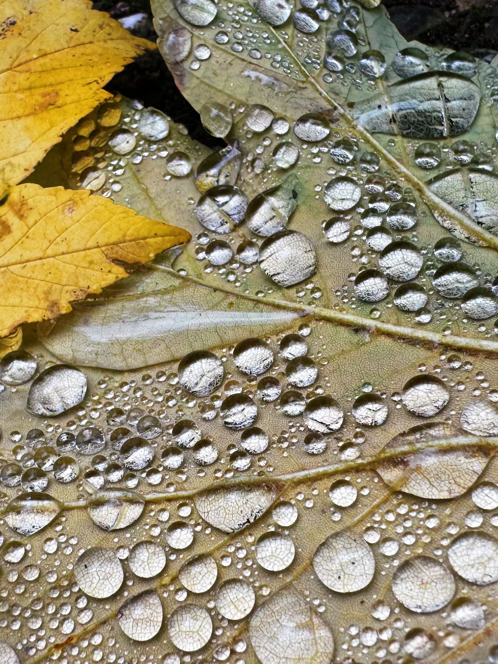 Herbstwetter
