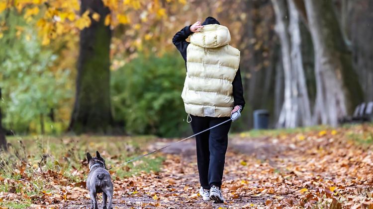 Herbstspaziergang mit Hund bei Regenwetter, Spaziergängerin, Kastanienallee im Unteren Schlossgarten in Stuttgart, Baden