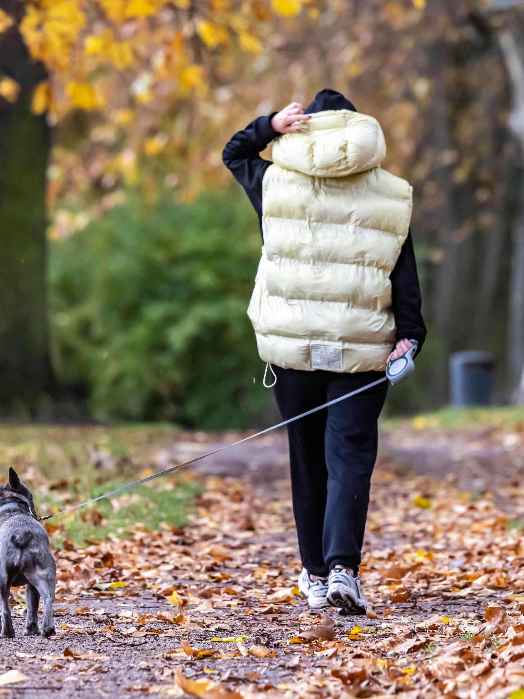 Herbstspaziergang mit Hund bei Regenwetter, Spaziergängerin, Kastanienallee im Unteren Schlossgarten in Stuttgart, Baden