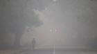 A man jogs on a road shrouded in smog on the day after Diwali, in New Delhi