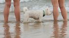 Australia Extreme Weather