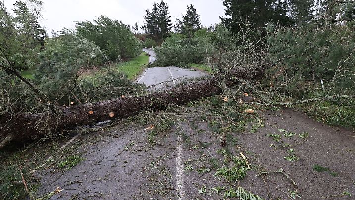 New Zealand Extreme Weather