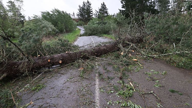 New Zealand Extreme Weather