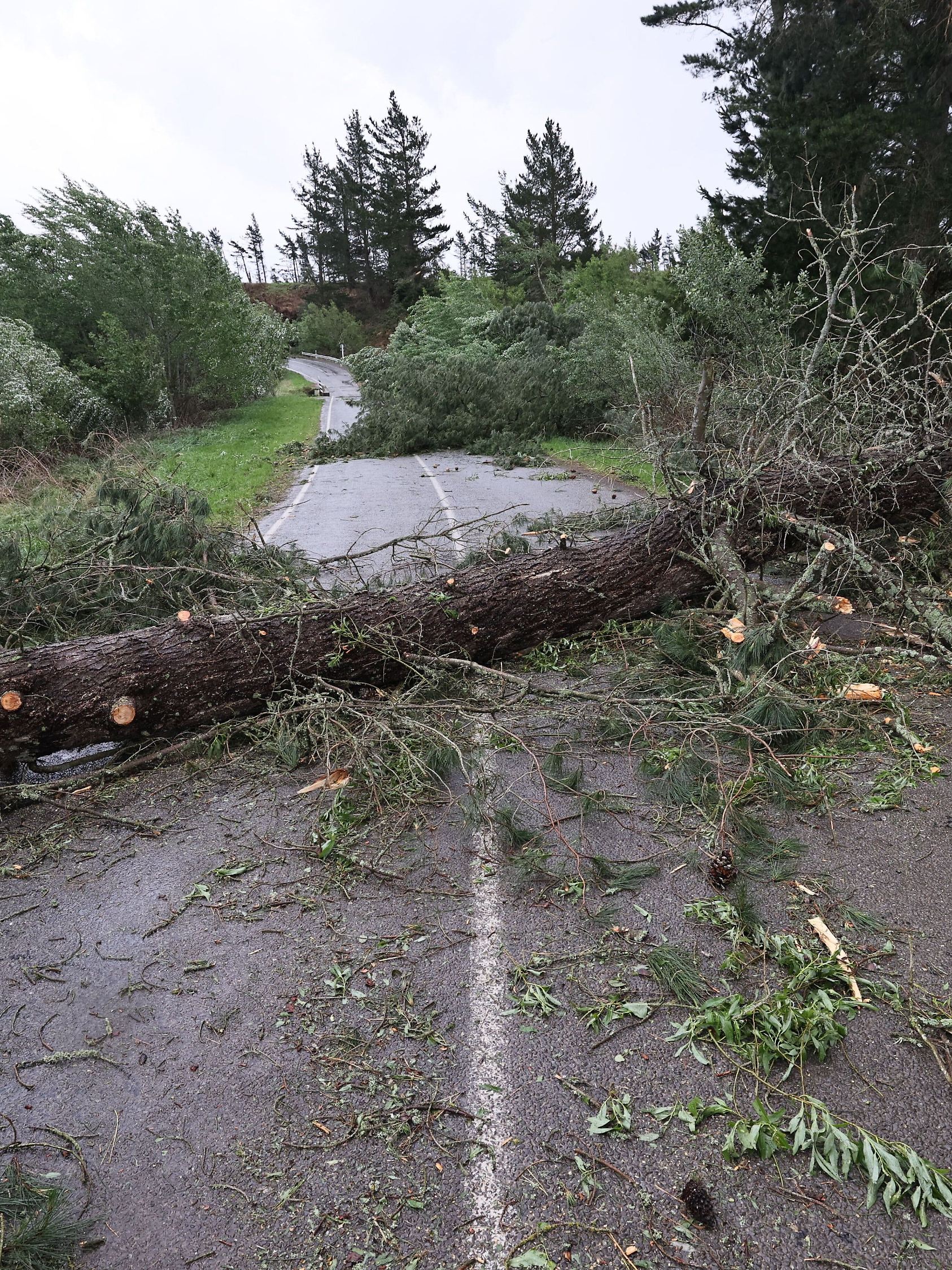 New Zealand Extreme Weather