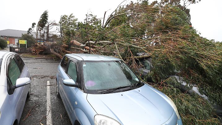 New Zealand Extreme Weather