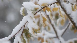 Schnee auf dem Brocken
