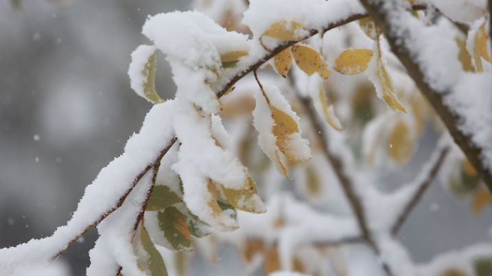 Schnee auf dem Brocken