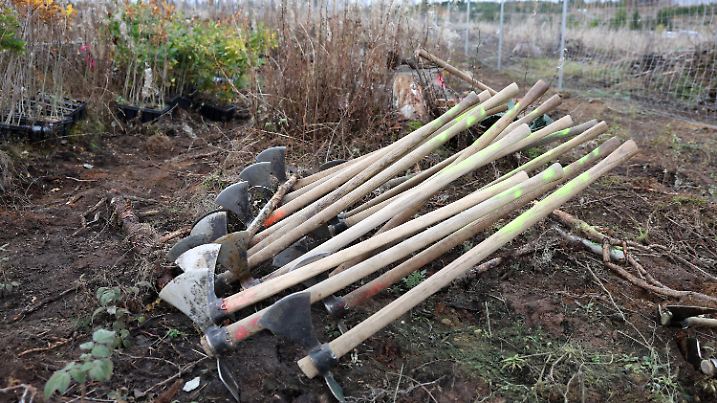 35 Jahre Bergwaldprojekt in Braunlage