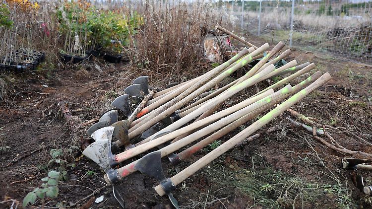 35 Jahre Bergwaldprojekt in Braunlage