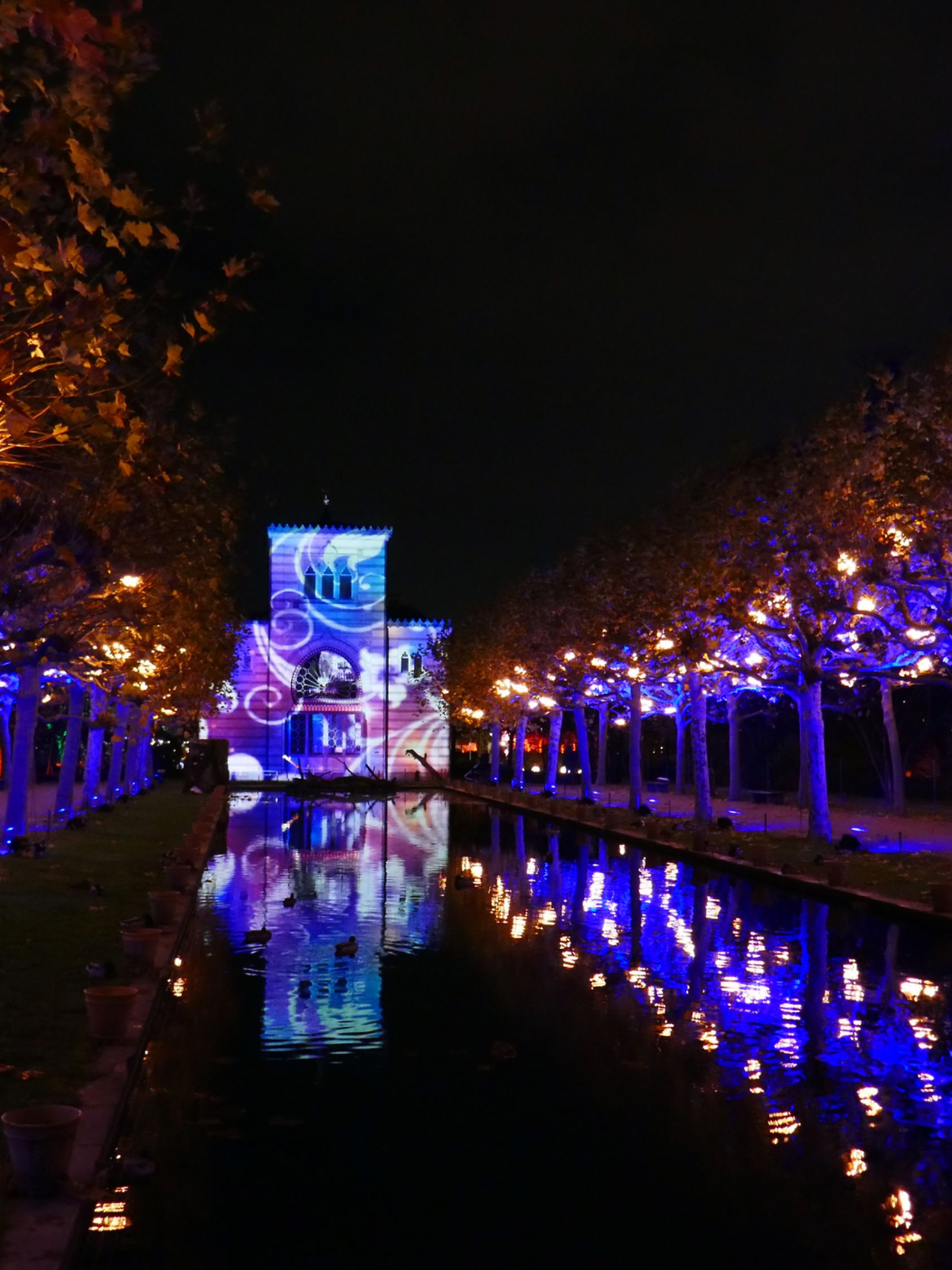 
Stuttgart, Germany - November 19, 2019: Christmas decor of Christmas Garden Stuttgart. New Year and winter holiday celebration traditions. Illuminated building of zoological and botanical garden Wilhelma. Blurry shiny lights in darkness of night.