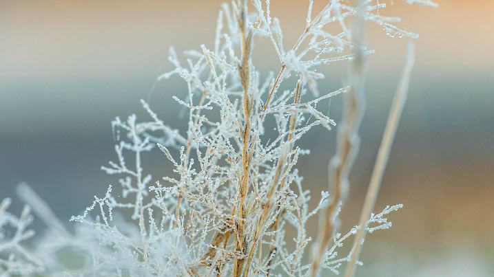 Kalter Start in die neue Woche für die Menschen in Sachsen  örtlicher Luftfrost im Erzgebirge