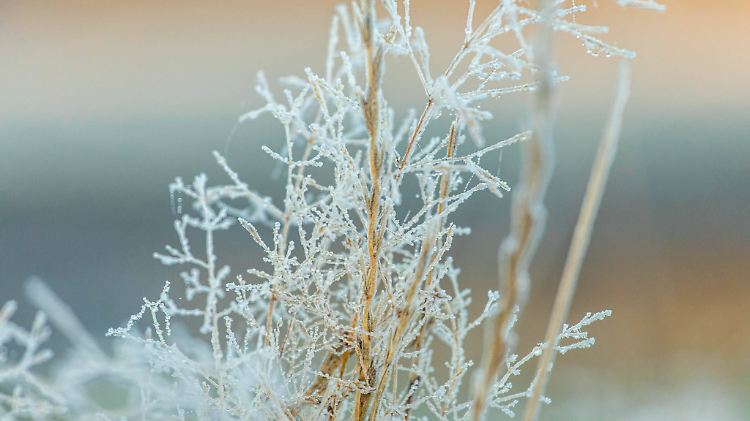 Kalter Start in die neue Woche für die Menschen in Sachsen  örtlicher Luftfrost im Erzgebirge