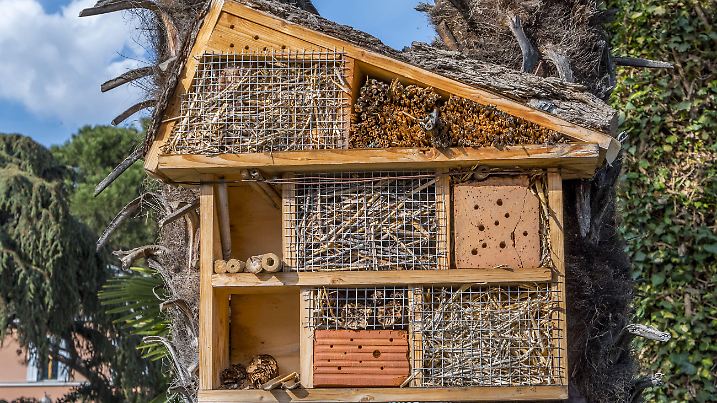 So sieht ein Insektenhotel aus