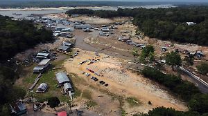 Brazil Deforestation Data