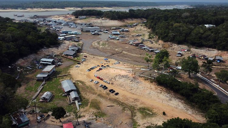 Brazil Deforestation Data