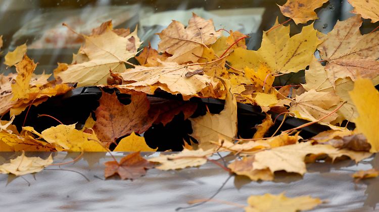 Buntes Herbstlaub liegt auf einem Auto in der Siegener Leimbachstrasse. Herbststimmung im Siegerland am 29.10.2023 in Si