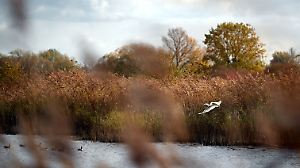 Wetter in Brandenburg