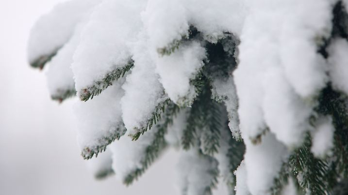 Schnee auf dem Brocken