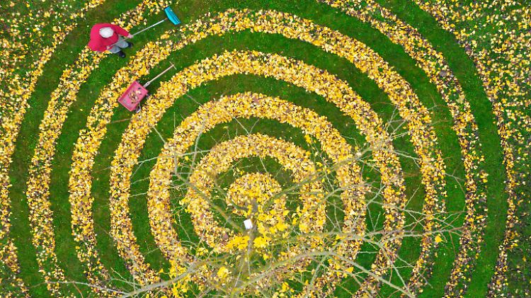 Laub harken auf kreative Weise