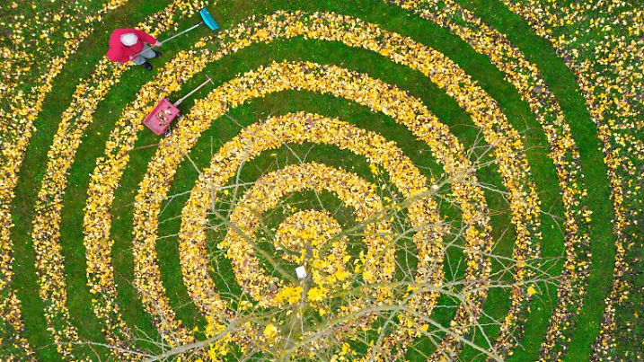 Laub harken auf kreative Weise