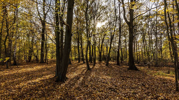 Herbststimmung in Brandenburg