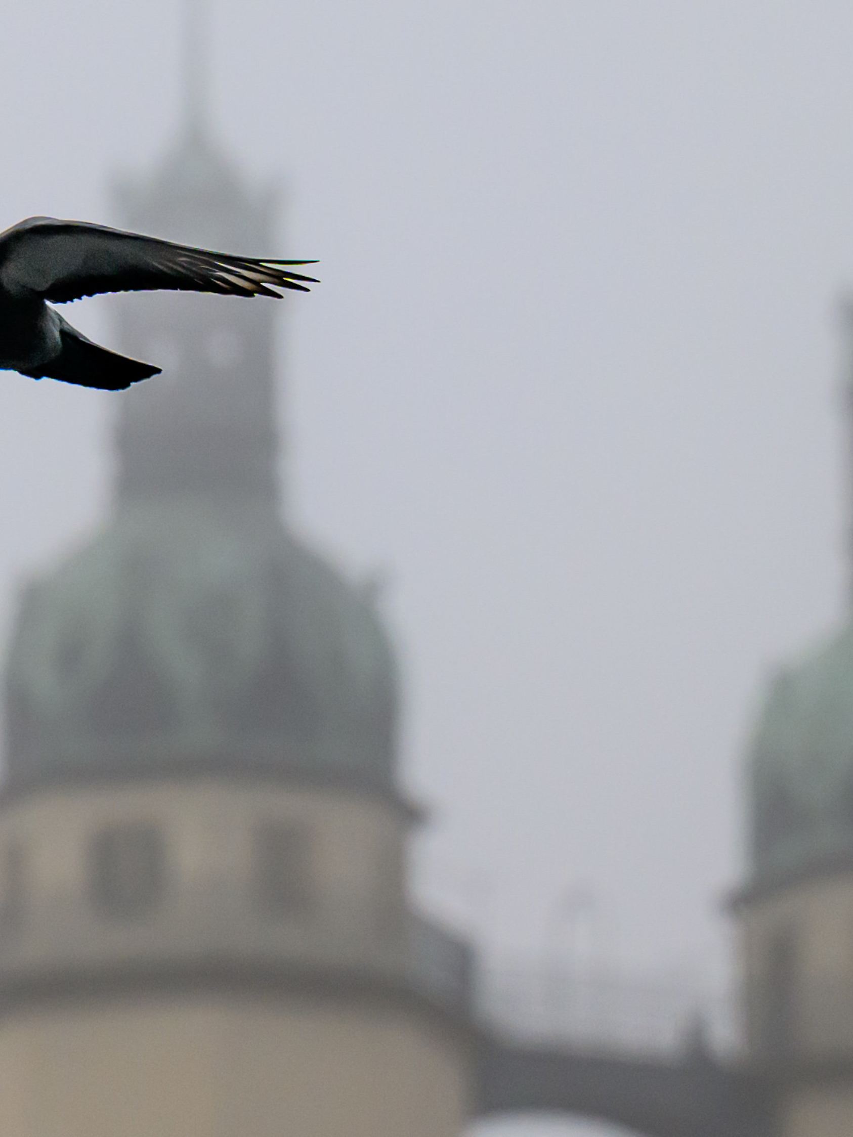 Winter in Sachsen-Anhalt - Wetter