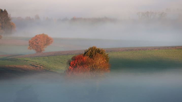 Wetter in Baden-Württemberg