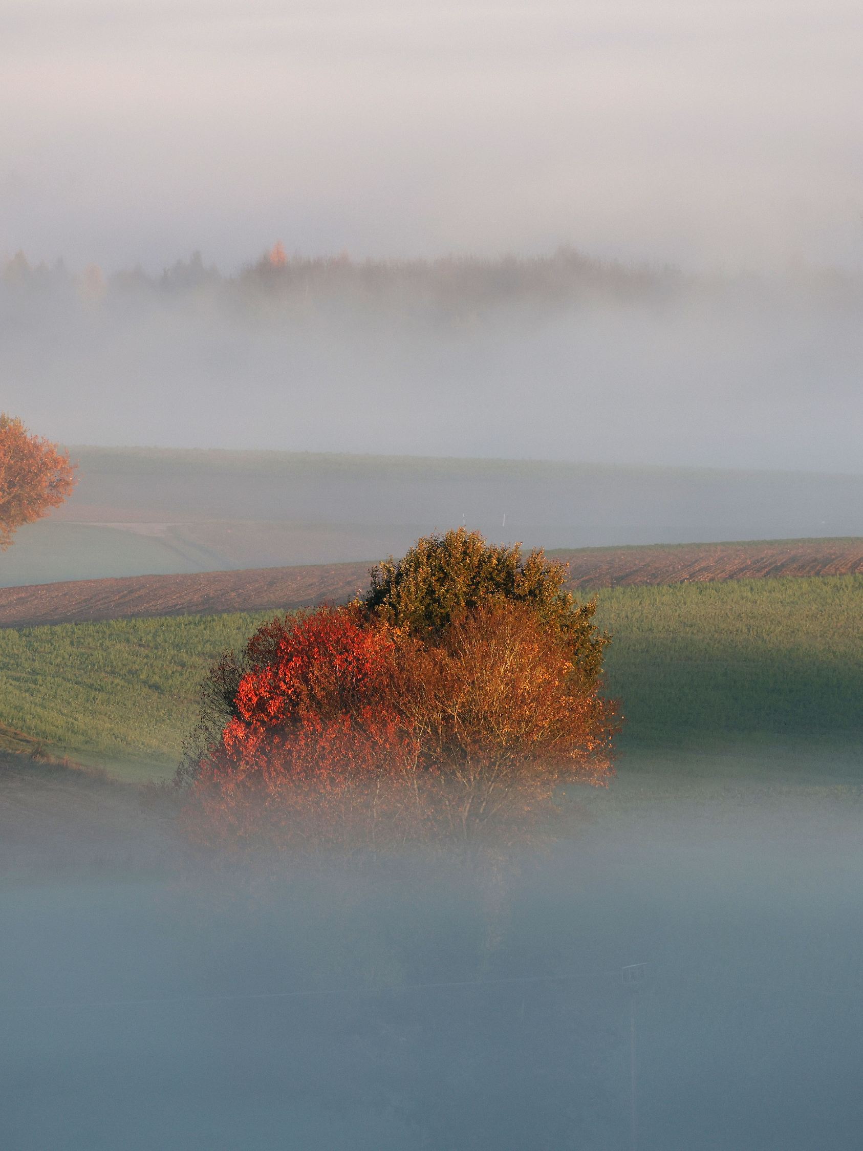 Wetter in Baden-Württemberg