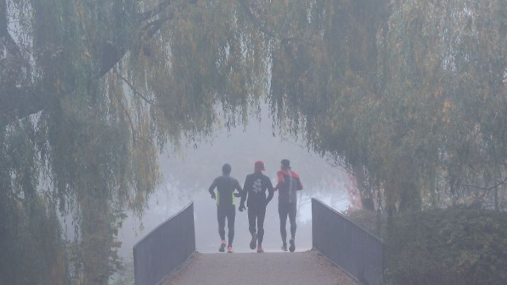 Nebel in Hamburg - Wetter