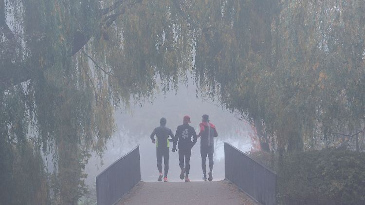 Nebel in Hamburg - Wetter