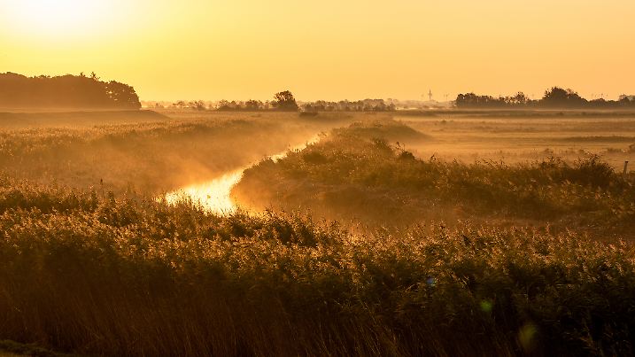 Foggy sunrise in autumn