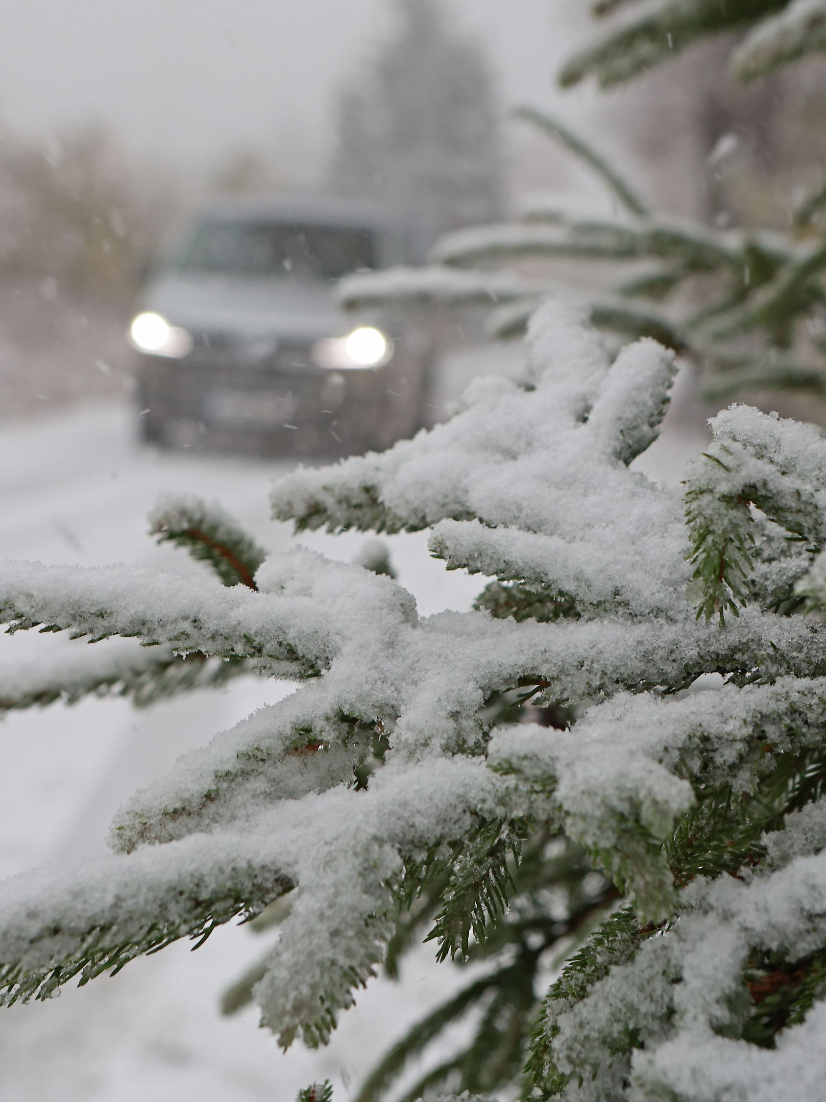 Schnee auf dem Brocken