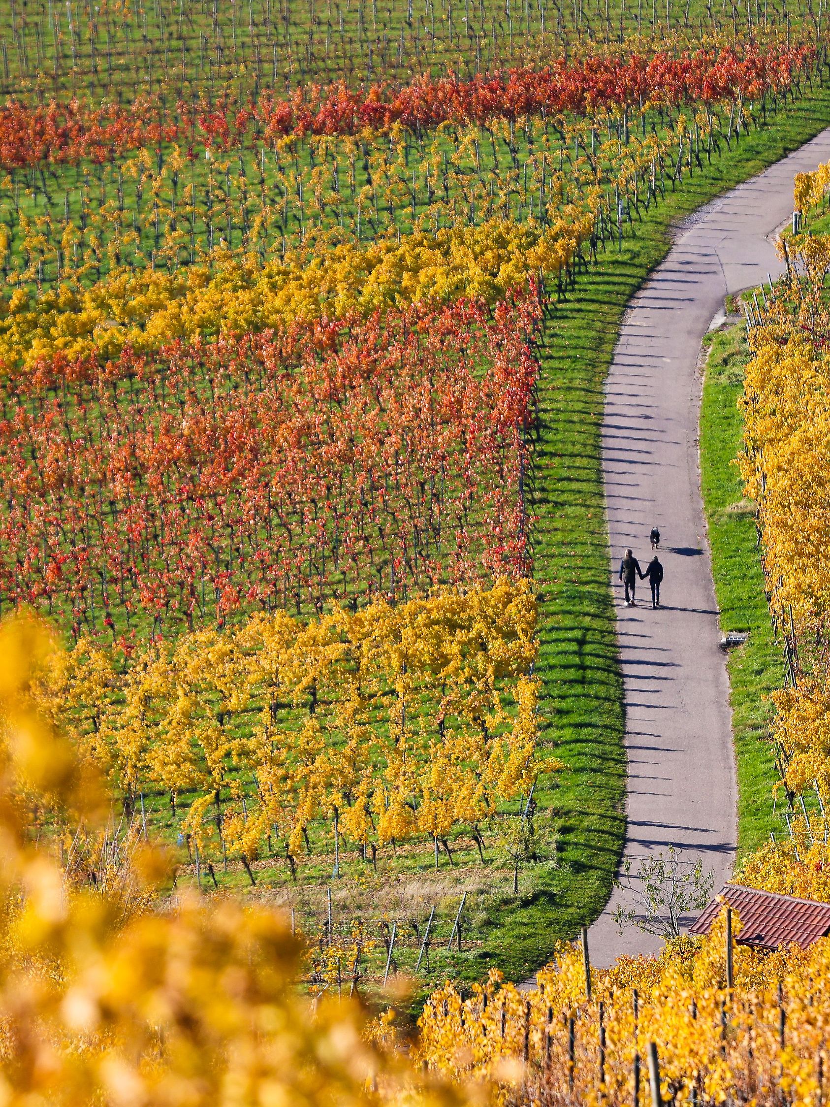 Sonnenschein in der Region Stuttgart