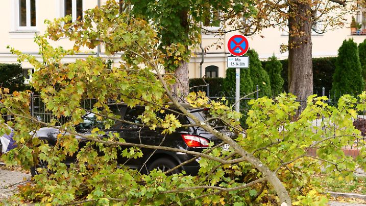 21.10.2021, Berlin: Im Stadtteil Lichterfelde hat der Sturm einen großen Ast von einem Baum gerissen. Der Ast ist auf ein Auto gefallen. Der erste starke Herbststurm des Jahres zieht über Deutschland. Foto: Wolfram Steinberg/dpa +++ dpa-Bildfunk +++